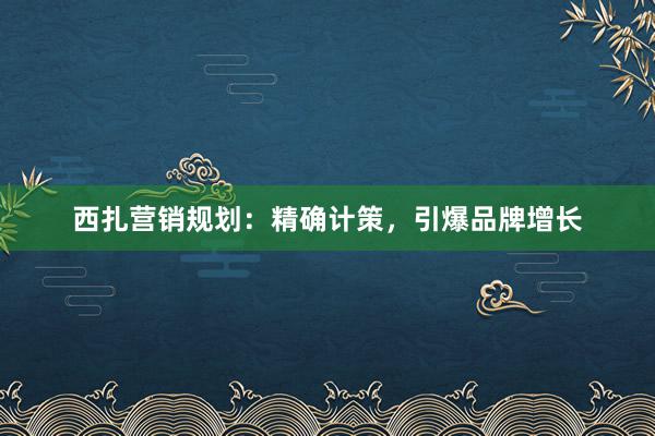 西扎营销规划：精确计策，引爆品牌增长